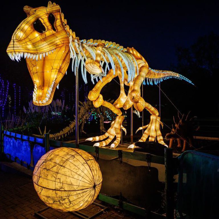 Land of Lights1