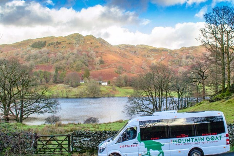 118356594 308733757129931 6599167571739721115 n