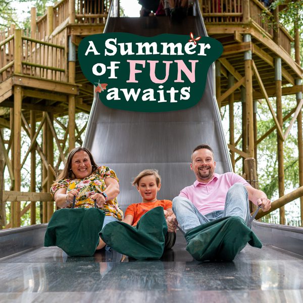 A summer of fun awaits