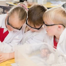 Acids and Alkalis