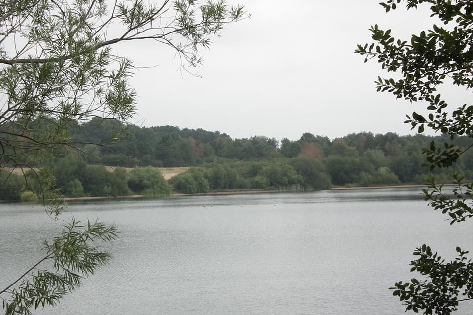 Astbury 11389668