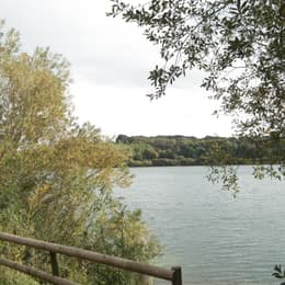 Astbury mere 380679857