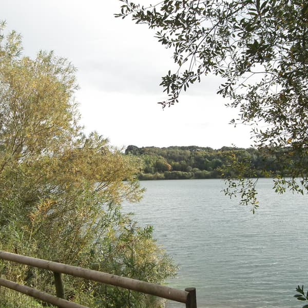 Astbury mere 380679857