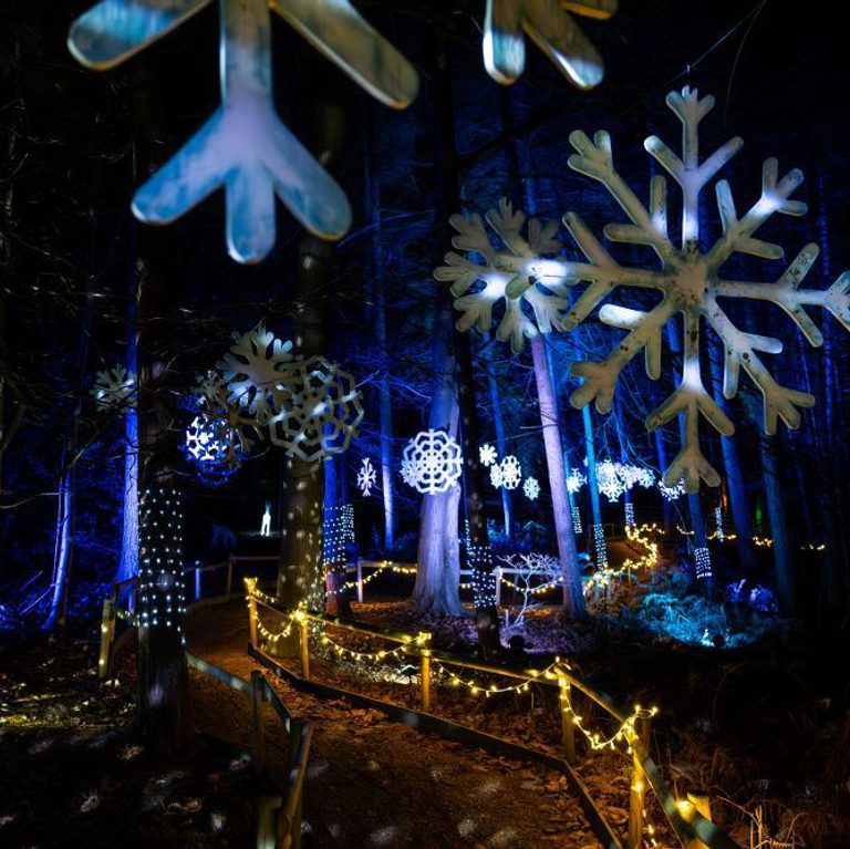 Be WIL Derwood Presents Christmas 3