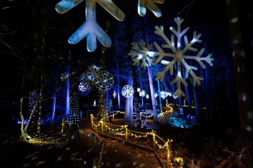 Be WIL Derwood Presents Christmas 3