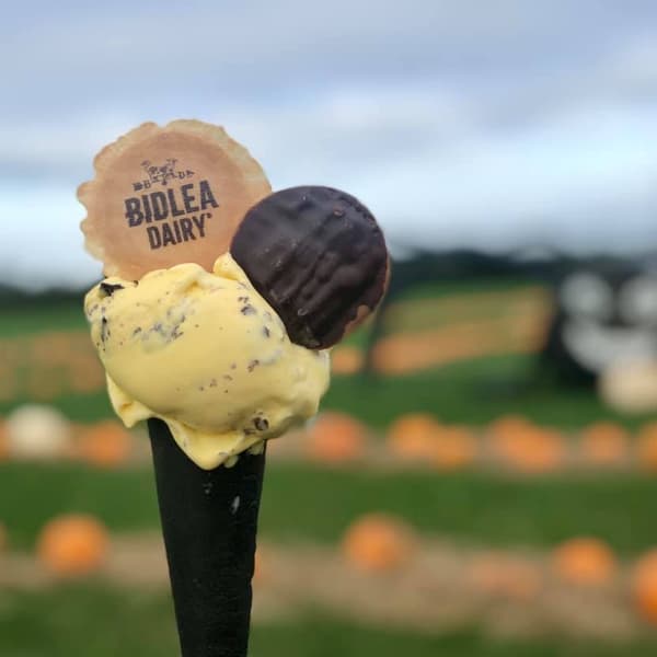 Bidlea Diary