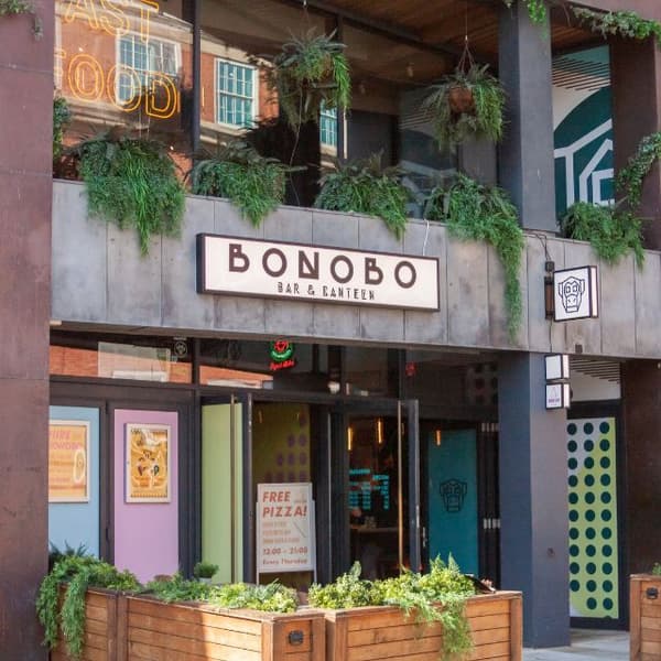 Bonobo