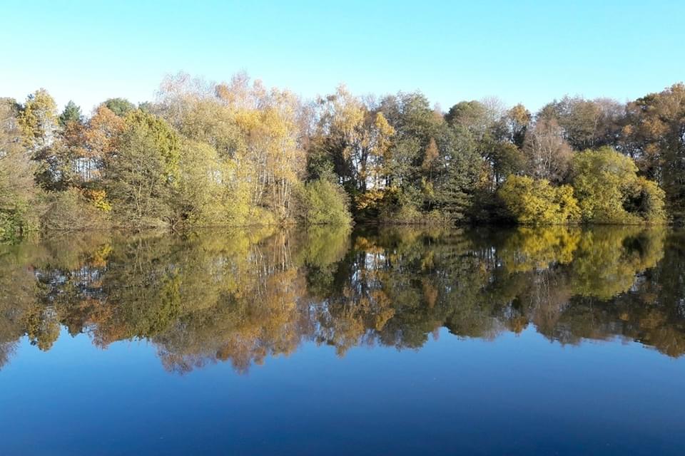 Brereton Heath LNR