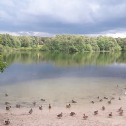 Brereton Heath