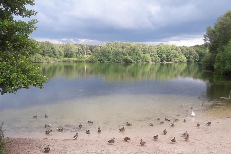 Brereton Heath
