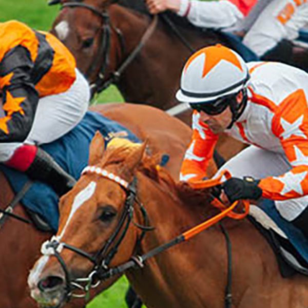 Chester Racecourse 04