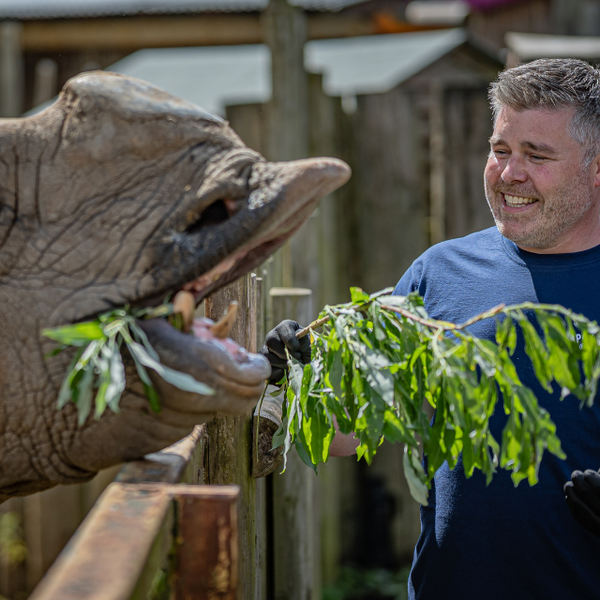 Chester Zoo 3