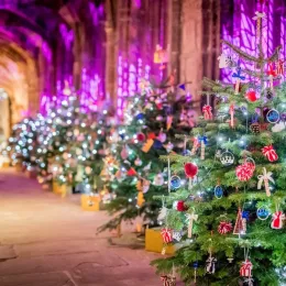 Christmas Tree Fest