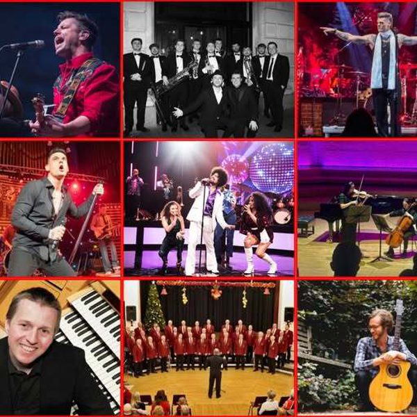 Collage Goosfest 25