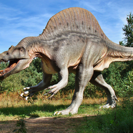Dinosaurs