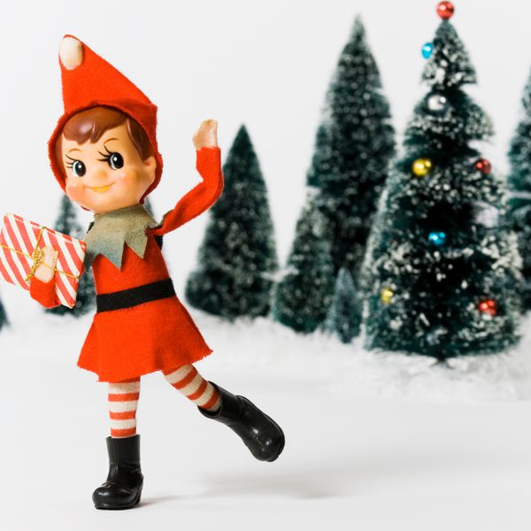 Elf Hunt