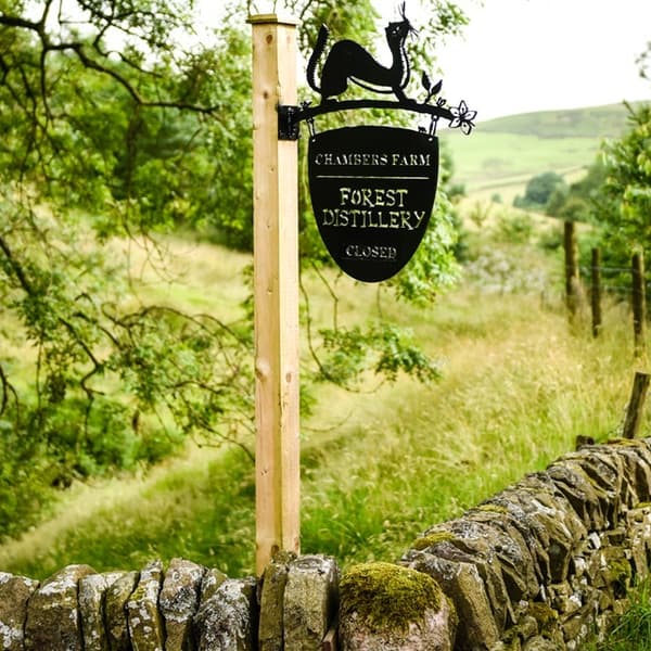 Forest Gin 21