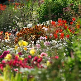 Garden Festival