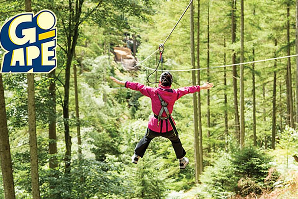 Go Ape Delamere 01