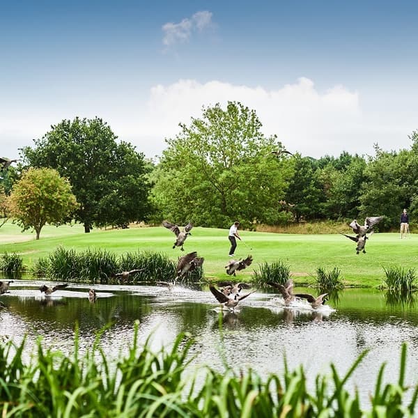 Golf 1 2 1127440055