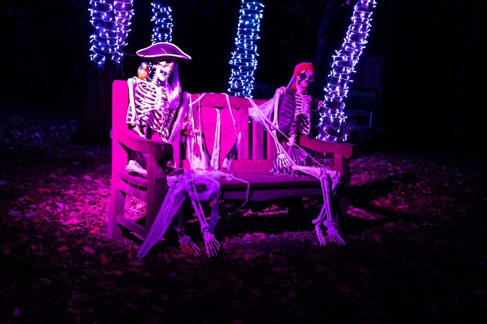 Halloweenville 2025 7 Credit David Munn