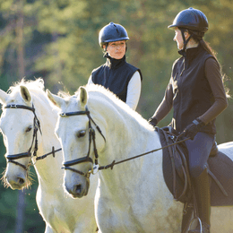 Horse Riding