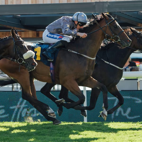 Visit Chester & Cheshire | Chester Racecourse