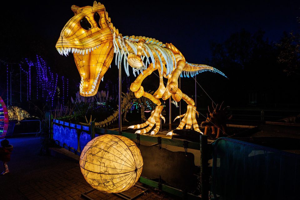 Land of Lights1 Gullivers