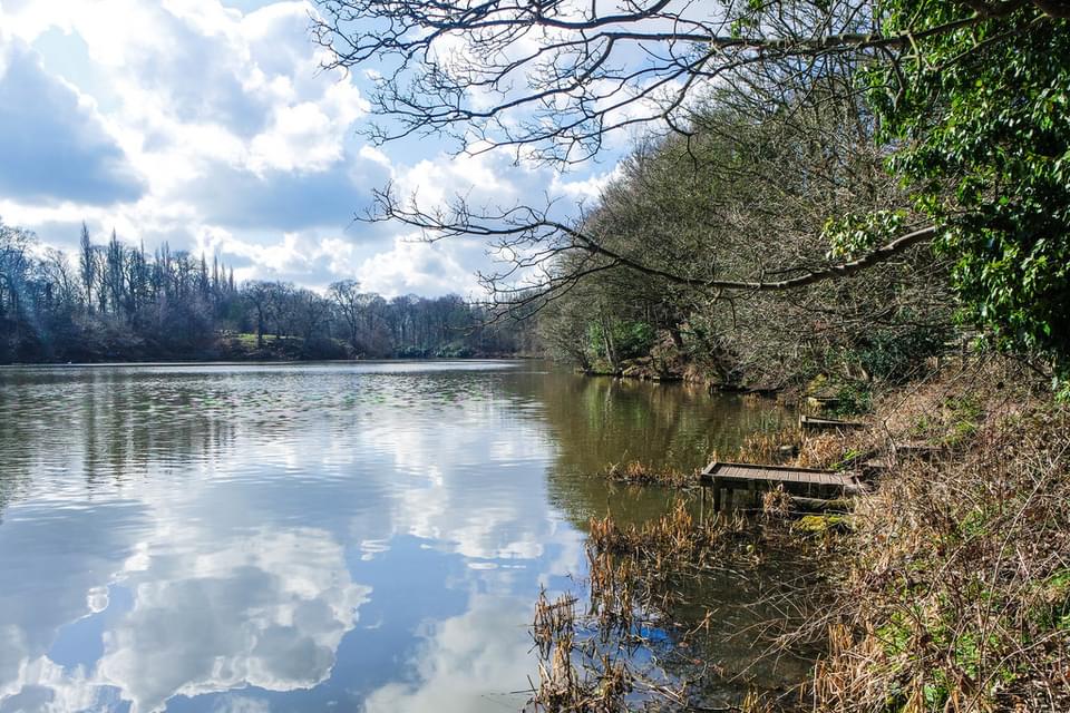 Lymm Dam Matt Harrop 1880414230