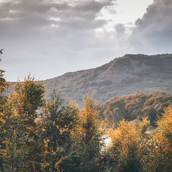 Macc Forest Landscape 2 Credit Heathcote Photography
