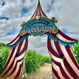 Maize Maze