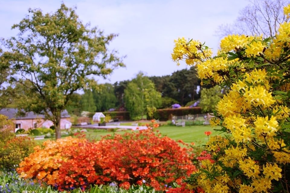 Ness Botanic Gardens
