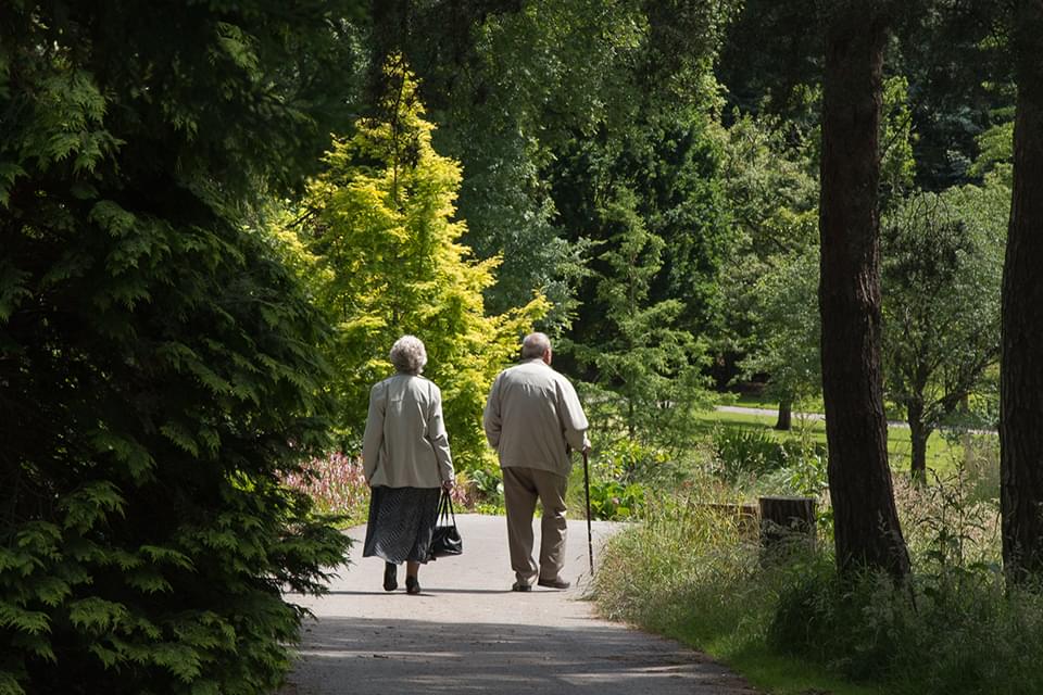 Ness Gardens 01