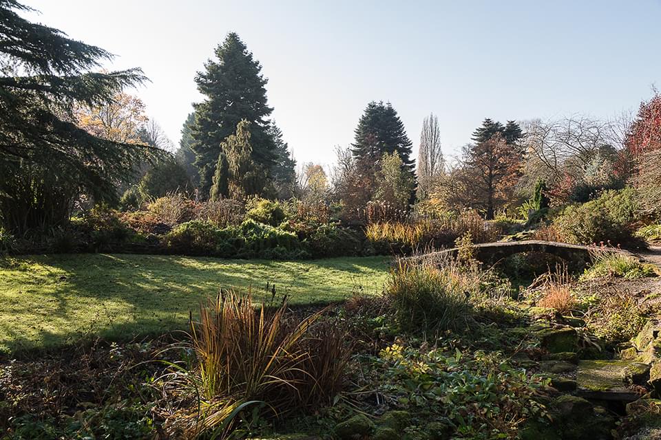 Ness Gardens 03