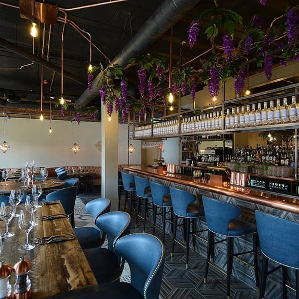 Olive Tree Warrington