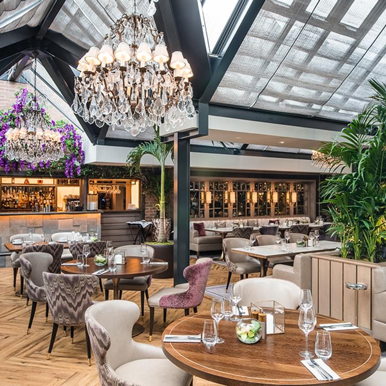 Palm Court 02