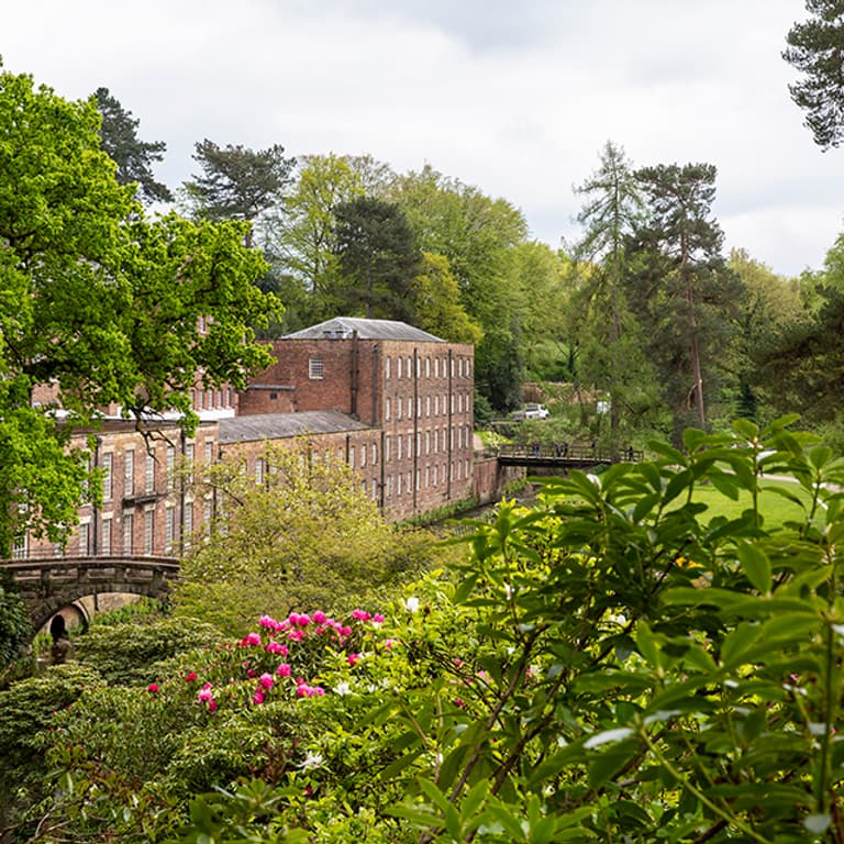 Quarry Bank 03