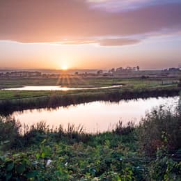 RSPB Burton Mere 01