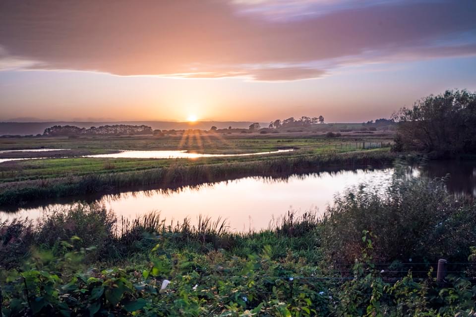RSPB Burton Mere 01