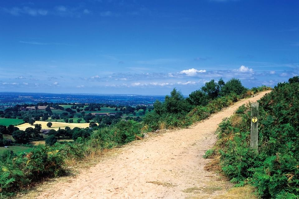 SANDSTONETRAIL 001 1280x1050 369579235