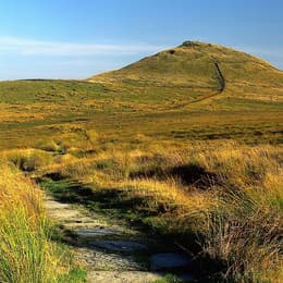 SHUTLINGSLOE CLINTHUGHES 001 1052x1280 2070153099
