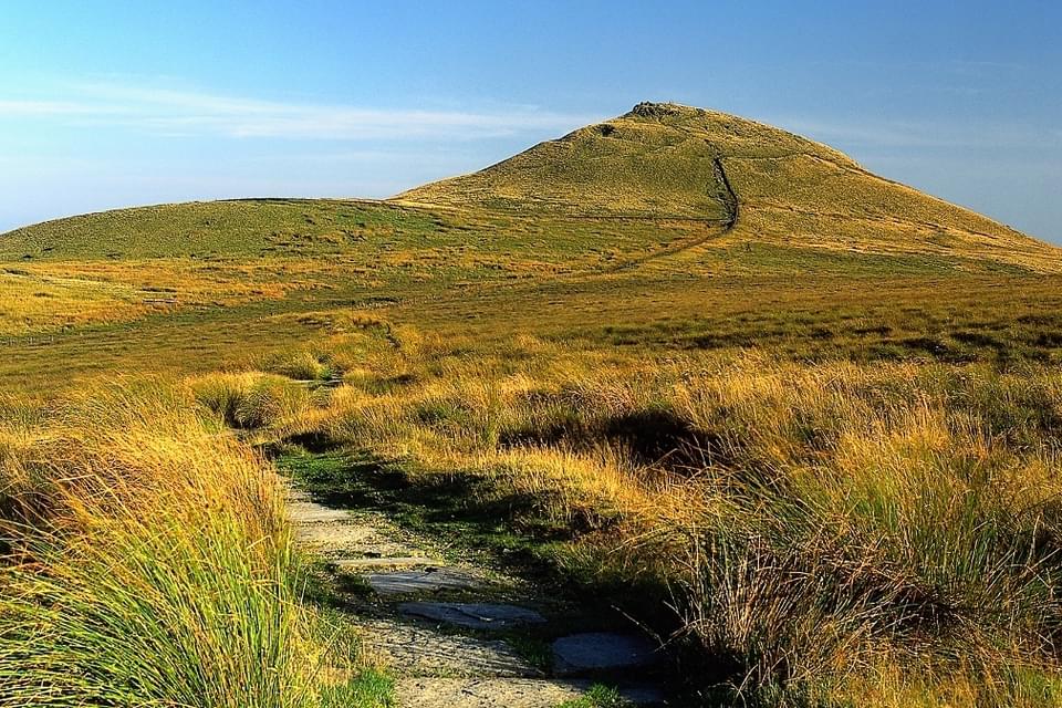 SHUTLINGSLOE CLINTHUGHES 001 1052x1280 2070153099
