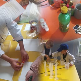 Stem club exhibiton image