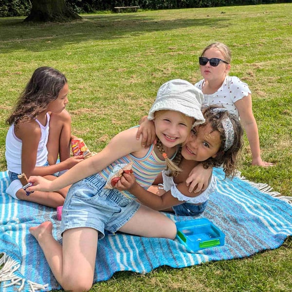 Tatton Park and Play