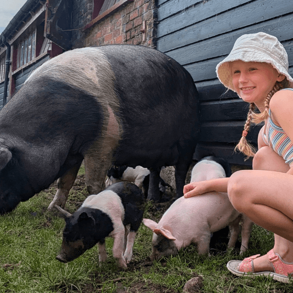 Tatton Summer Farm Fun 960x640px