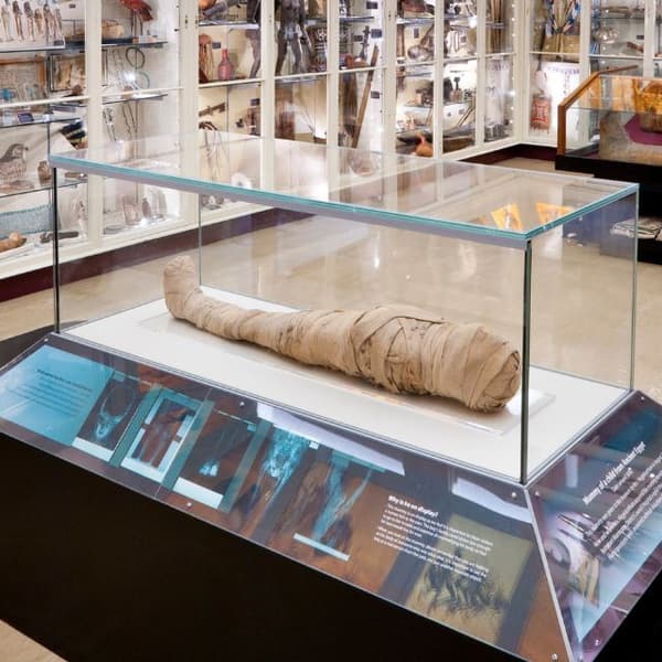 Warrington Museum 3