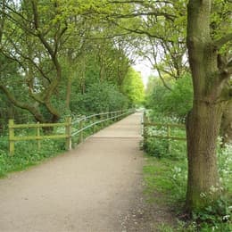 Wheelock Rail Trail