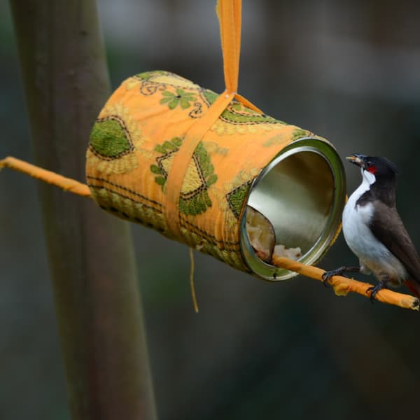Birdfeeders i Stock 1065997798
