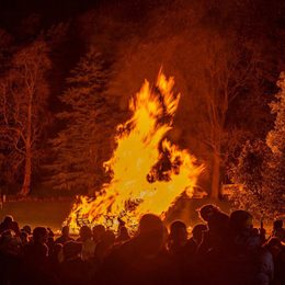 Bonfire 1024x697