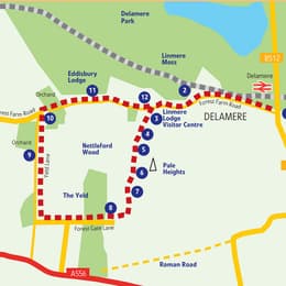 Delamere trail 1856793435
